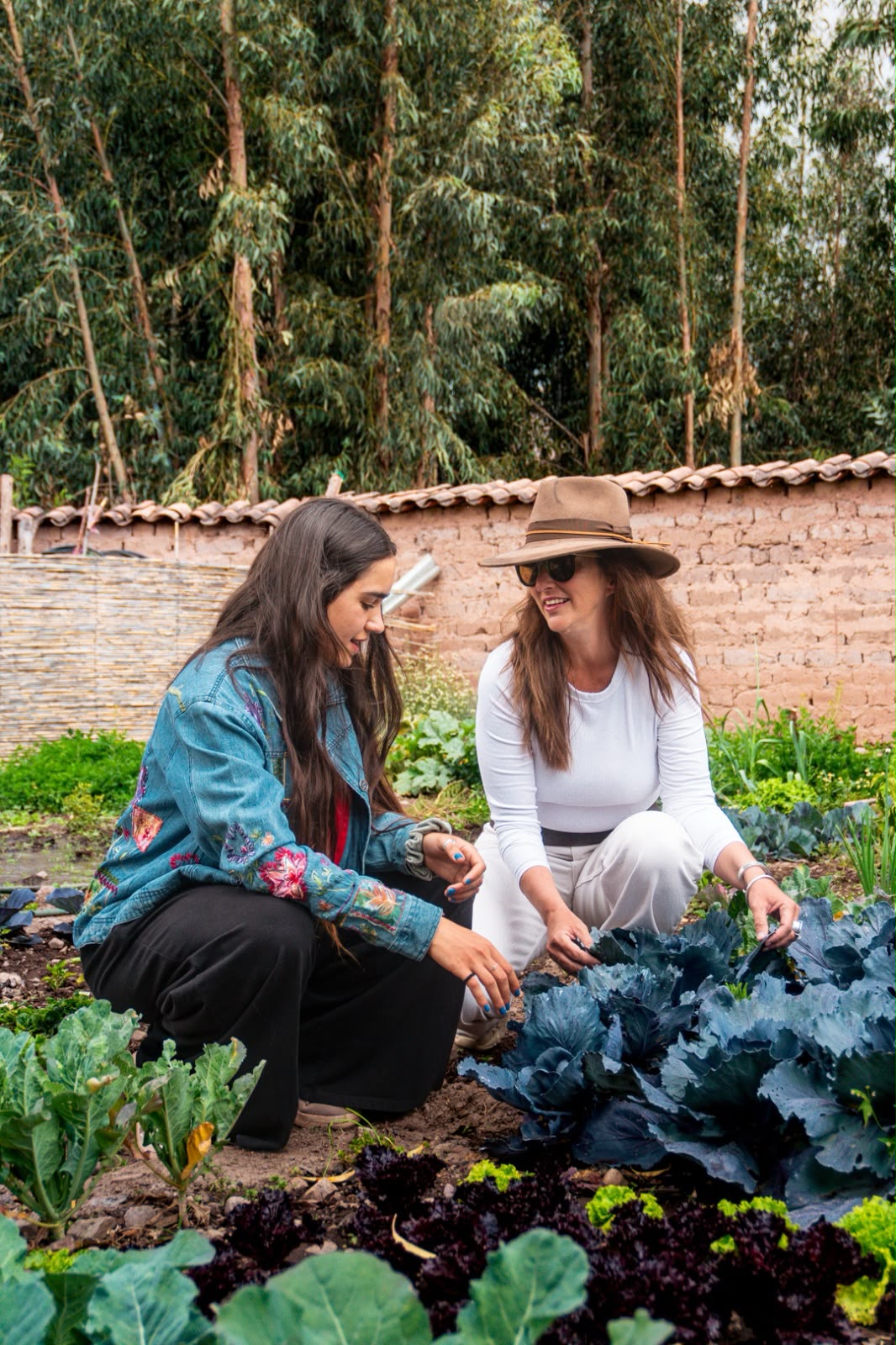 Dos personas cosechando en la huerta orgánica